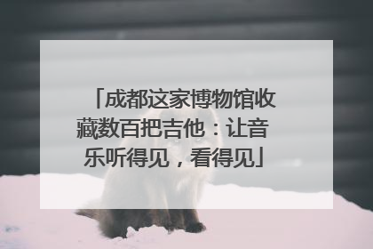 成都这家博物馆收藏数百把吉他：让音乐听得见，看得见