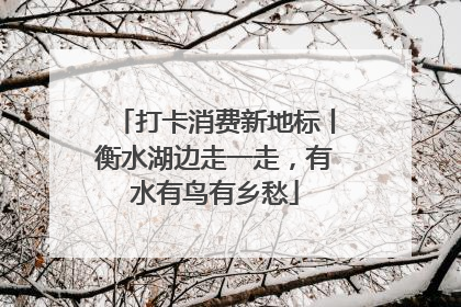 打卡消费新地标丨衡水湖边走一走，有水有鸟有乡愁