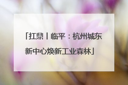 扛鼎丨临平：杭州城东新中心焕新工业森林