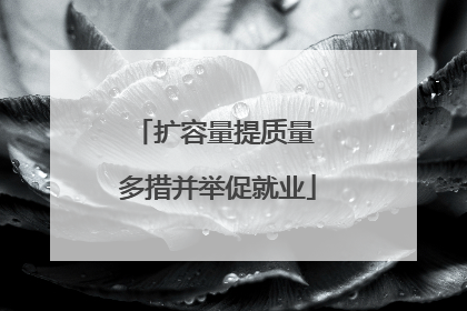 扩容量提质量 多措并举促就业