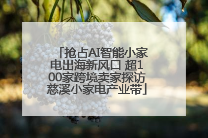 抢占AI智能小家电出海新风口 超100家跨境卖家探访慈溪小家电产业带