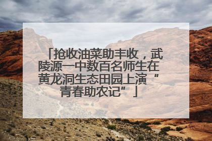 抢收油菜助丰收，武陵源一中数百名师生在黄龙洞生态田园上演“青春助农记”