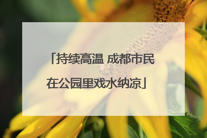 持续高温 成都市民在公园里戏水纳凉