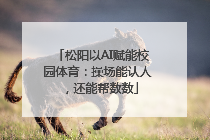 松阳以AI赋能校园体育：操场能认人，还能帮数数