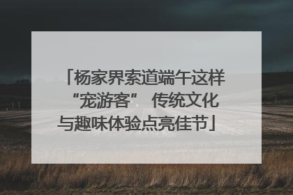 杨家界索道端午这样“宠游客” 传统文化与趣味体验点亮佳节