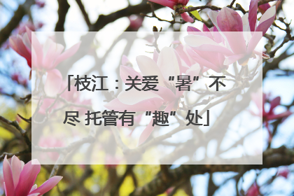 枝江：关爱“暑”不尽 托管有“趣”处