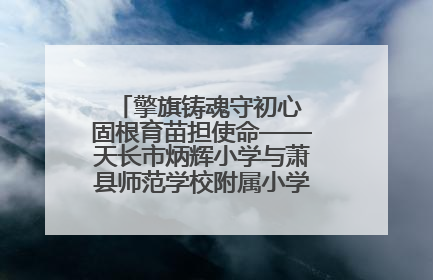擎旗铸魂守初心 固根育苗担使命——天长市炳辉小学与萧县师范学校附属小学结对共建活动纪实