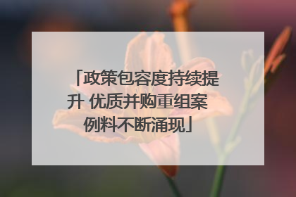 政策包容度持续提升 优质并购重组案例料不断涌现