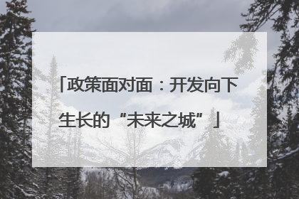 政策面对面：开发向下生长的“未来之城”