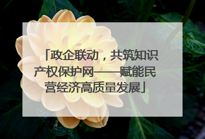 政企联动，共筑知识产权保护网——赋能民营经济高质量发展