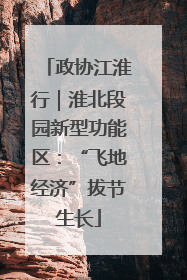 政协江淮行｜淮北段园新型功能区：“飞地经济”拔节生长