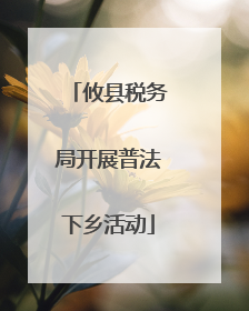 攸县税务局开展普法下乡活动