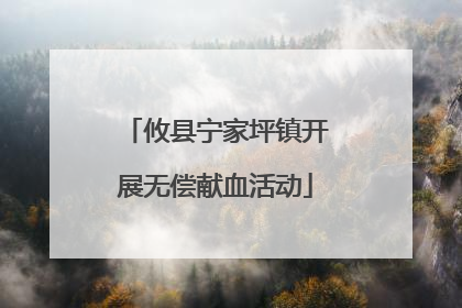攸县宁家坪镇开展无偿献血活动