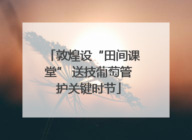 敦煌设“田间课堂” 送技葡萄管护关键时节