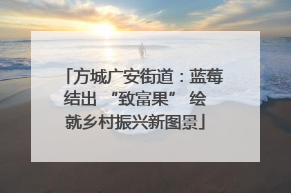 方城广安街道：蓝莓结出 “致富果” 绘就乡村振兴新图景