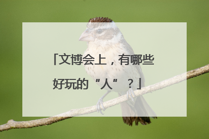 文博会上，有哪些好玩的“人”？
