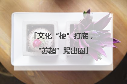 文化“梗”打底，“苏超”踢出圈