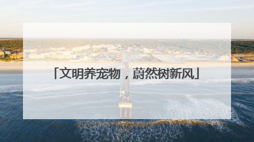 文明养宠物，蔚然树新风