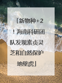 新物种+2！海南科研团队发现素贞灵芝和自然保护地壁虎