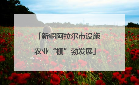 新疆阿拉尔市设施农业“棚”勃发展