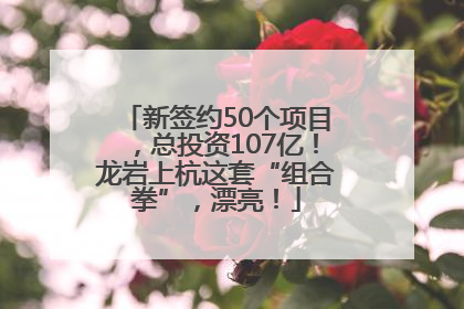 新签约50个项目，总投资107亿！龙岩上杭这套“组合拳”，漂亮！