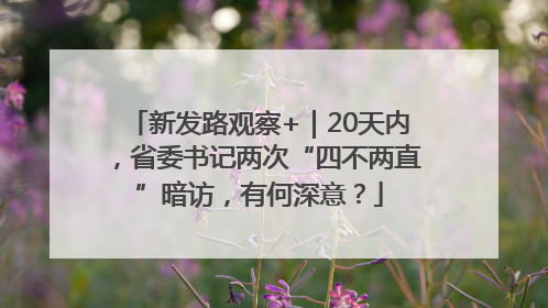 新发路观察+｜20天内，省委书记两次“四不两直”暗访，有何深意？