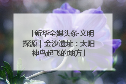 新华全媒头条·文明探源｜金沙遗址：太阳神鸟起飞的地方