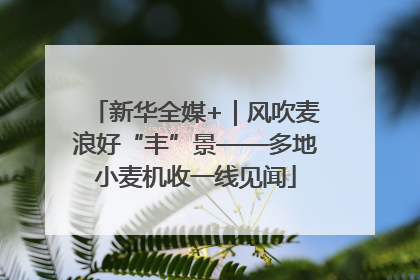新华全媒+｜风吹麦浪好“丰”景——多地小麦机收一线见闻