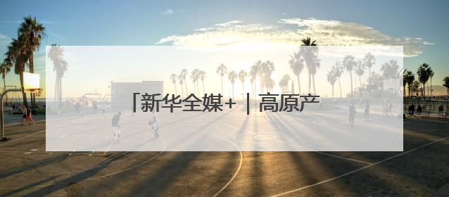 新华全媒+｜高原产品上“云”端——西藏电商发展一线观察