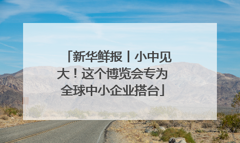 新华鲜报丨小中见大！这个博览会专为全球中小企业搭台