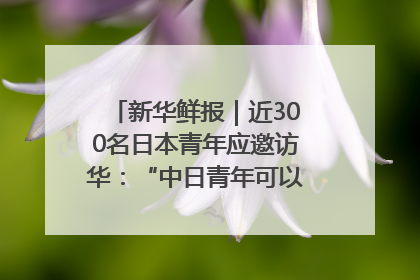 新华鲜报｜近300名日本青年应邀访华：“中日青年可以创造更好的未来”