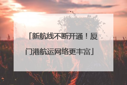 新航线不断开通！厦门港航运网络更丰富