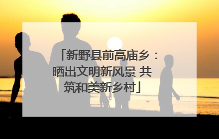 新野县前高庙乡：晒出文明新风景 共筑和美新乡村