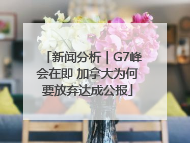 新闻分析｜G7峰会在即 加拿大为何要放弃达成公报