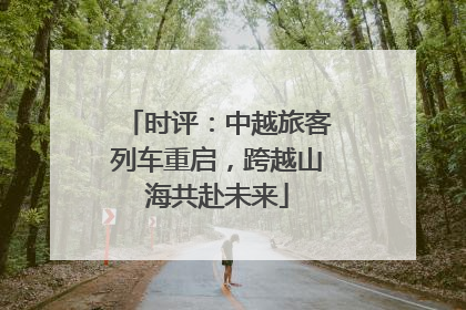 时评：中越旅客列车重启，跨越山海共赴未来