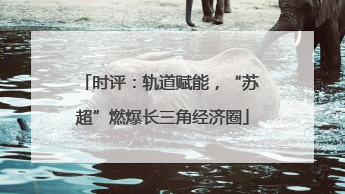 时评：轨道赋能，“苏超”燃爆长三角经济圈