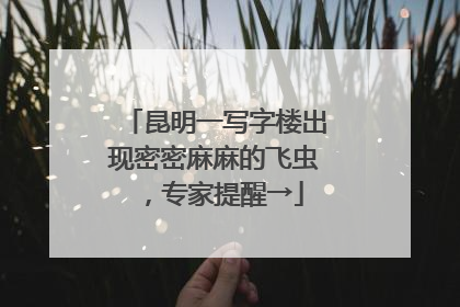 昆明一写字楼出现密密麻麻的飞虫，专家提醒→