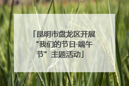 昆明市盘龙区开展“我们的节日·端午节”主题活动