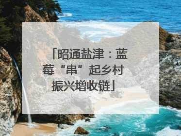 昭通盐津：蓝莓“串”起乡村振兴增收链