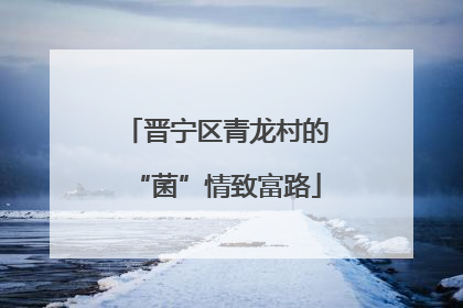 晋宁区青龙村的“菌”情致富路