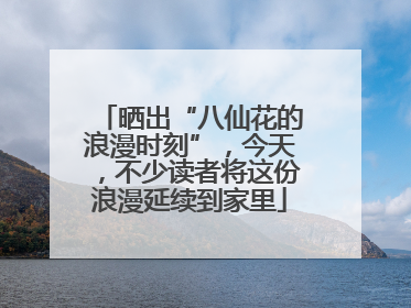 晒出“八仙花的浪漫时刻”，今天，不少读者将这份浪漫延续到家里