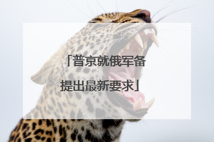 普京就俄军备提出最新要求