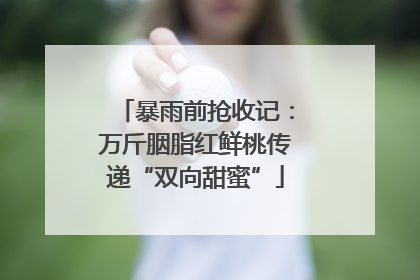 暴雨前抢收记：万斤胭脂红鲜桃传递“双向甜蜜”