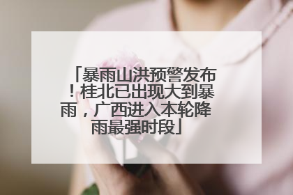 暴雨山洪预警发布！桂北已出现大到暴雨，广西进入本轮降雨最强时段