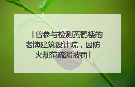 曾参与检测黄鹤楼的老牌建筑设计院，因防火规范疏漏被罚