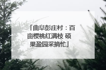 曲阜彭庄村：百亩樱桃红满枝 硕果盈园采摘忙