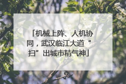 机械上阵、人机协同，武汉临江大道“扫”出城市精气神