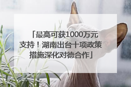 最高可获1000万元支持！湖南出台十项政策措施深化对德合作