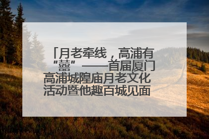 月老牵线，高浦有“囍”——首届厦门高浦城隍庙月老文化活动暨他趣百城见面会隆重举办