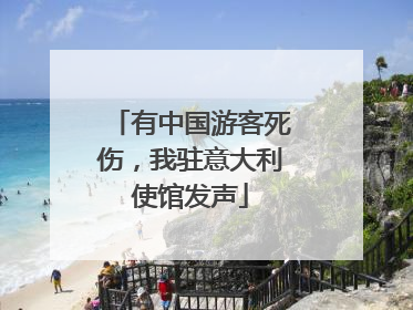 有中国游客死伤，我驻意大利使馆发声